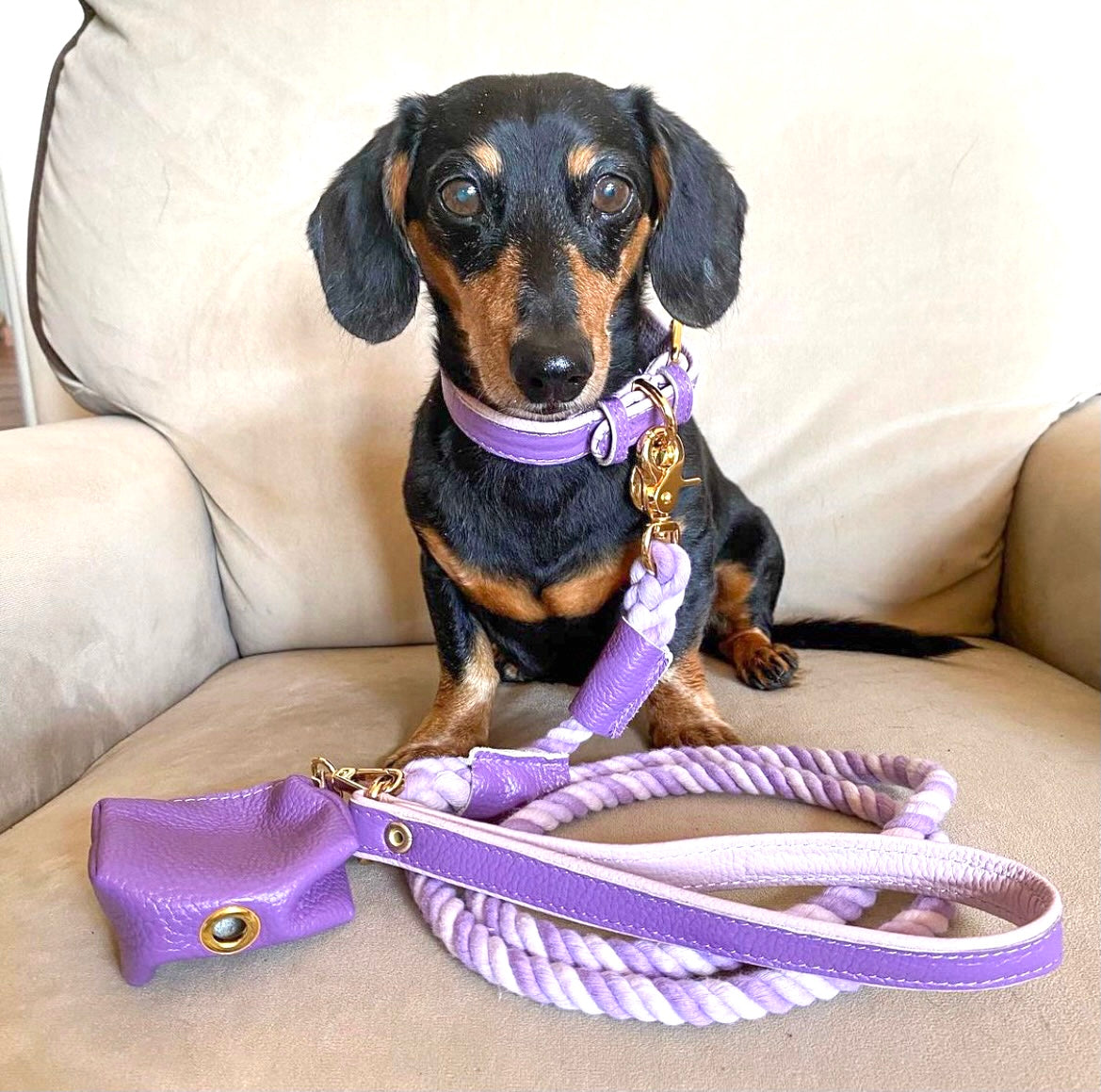 Collar - Lavish Lavender