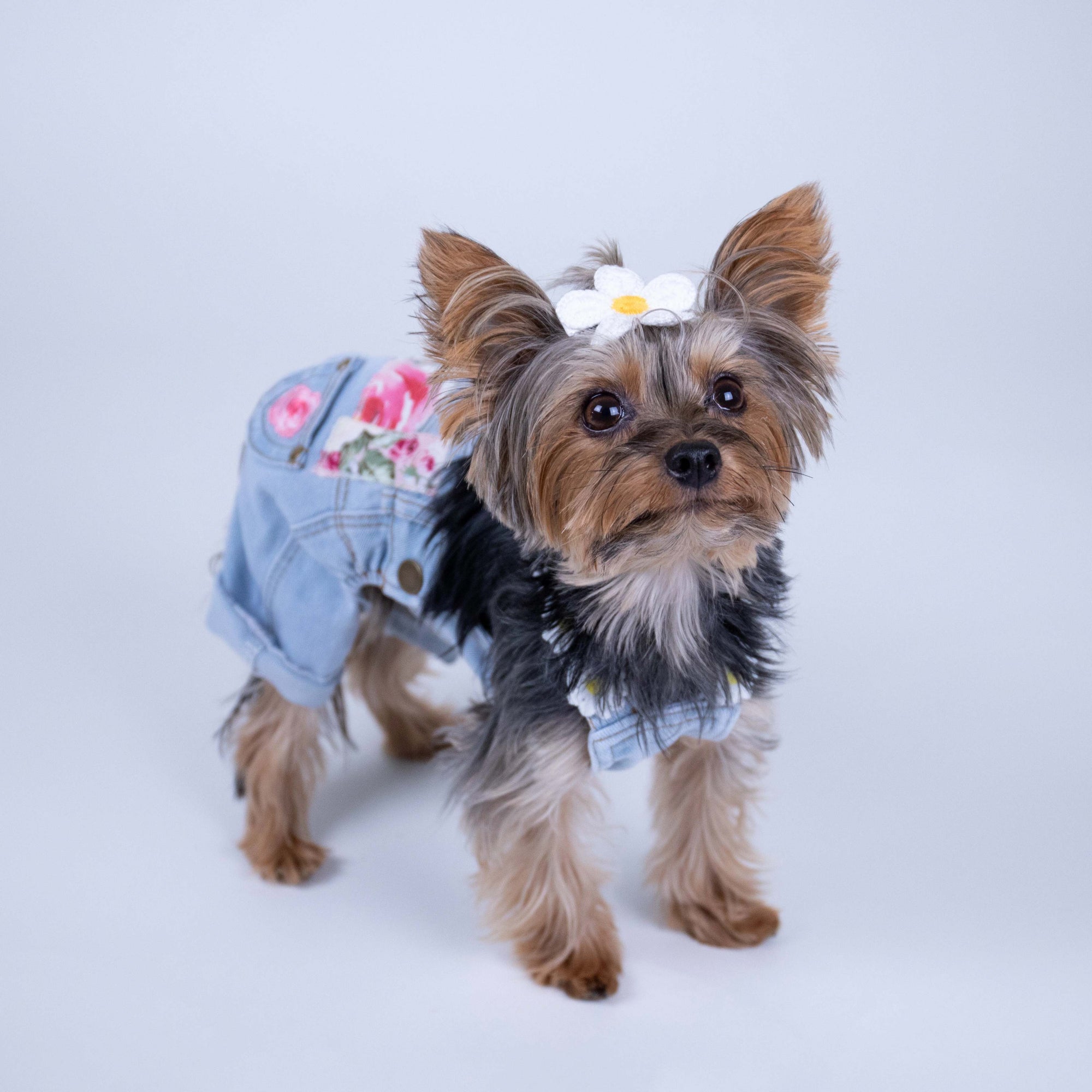 Heads or Tails Pup Floral Patchwork Dog Overalls
