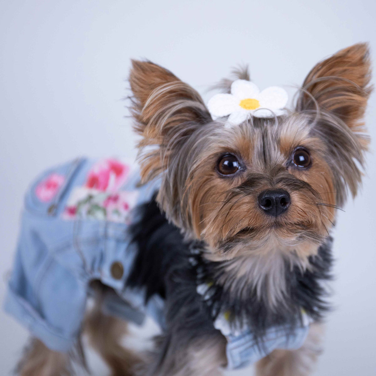 Heads or Tails Pup Floral Patchwork Dog Overalls
