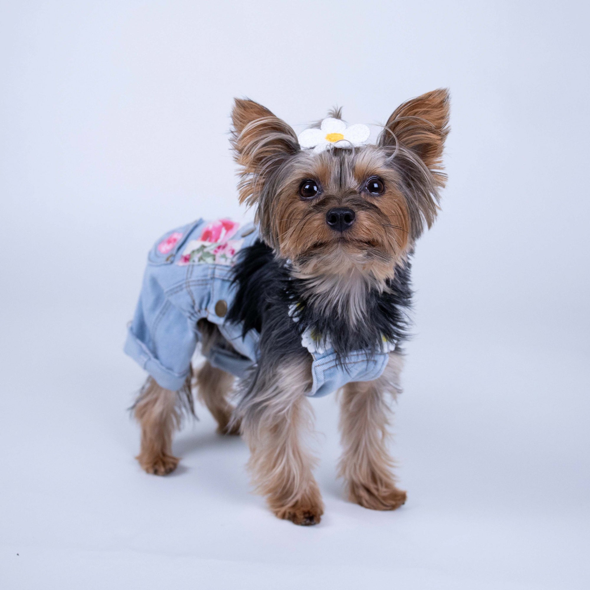 Heads or Tails Pup Floral Patchwork Dog Overalls