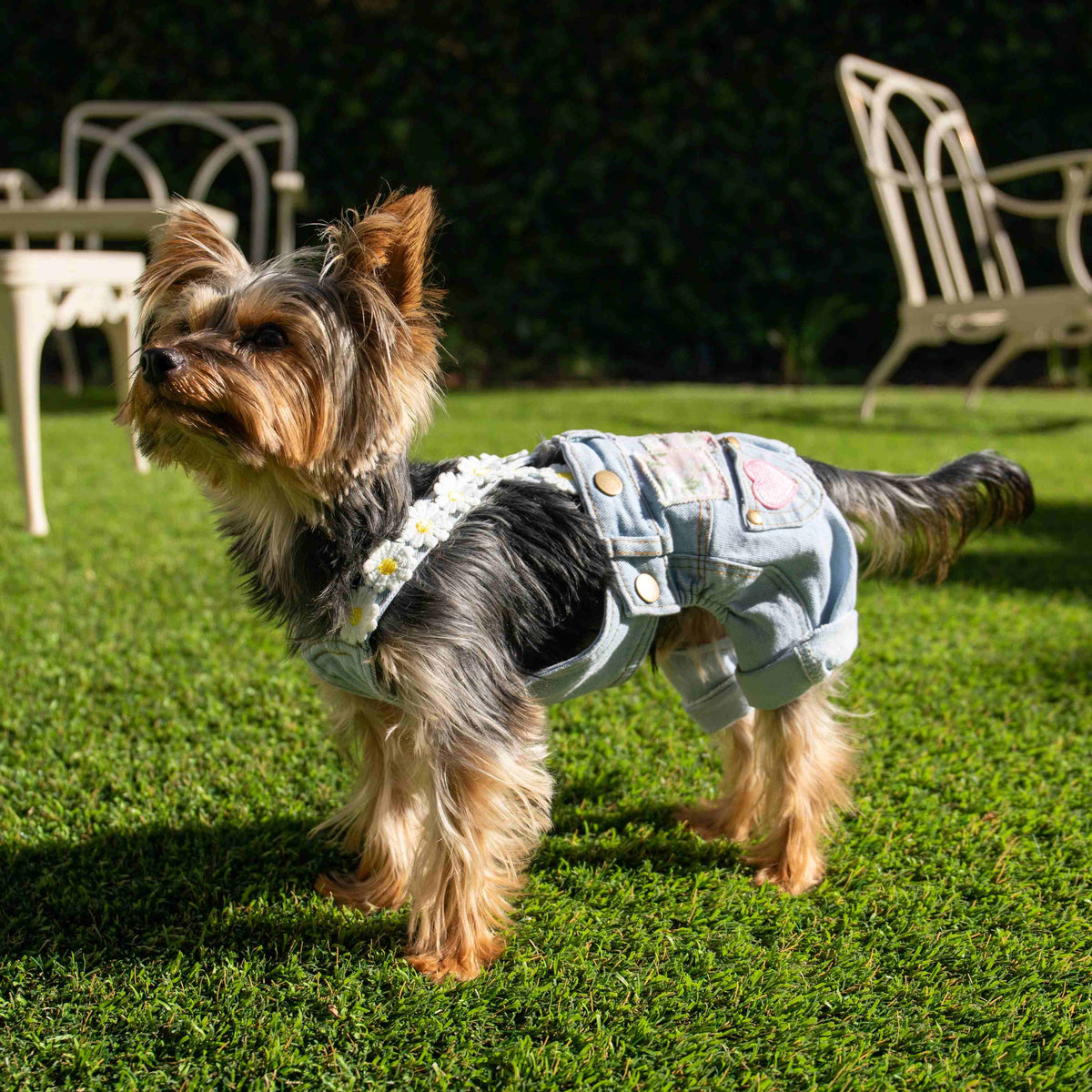Heads or Tails Pup Floral Patchwork Dog Overalls