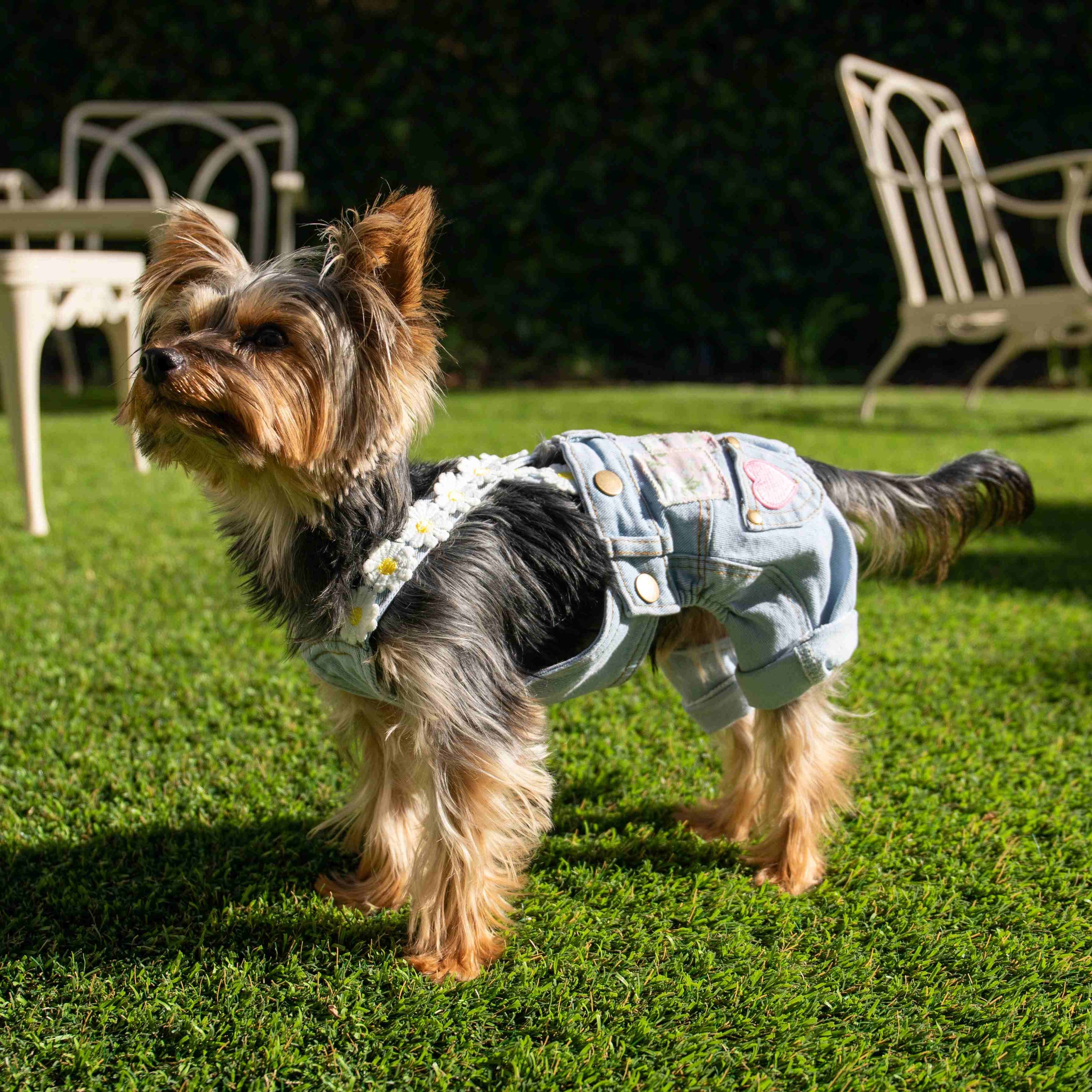 Heads or Tails Pup Floral Patchwork Dog Overalls