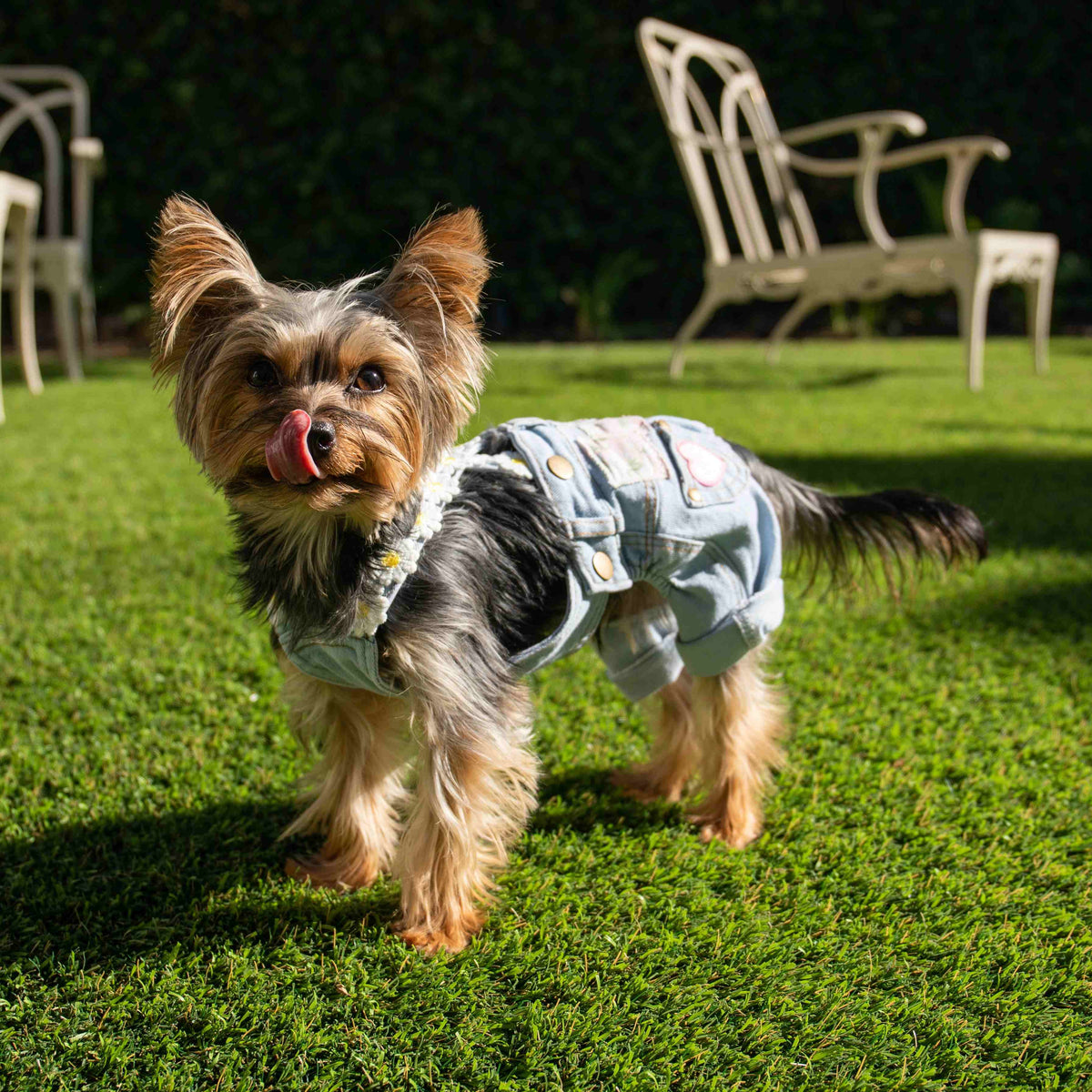 Heads or Tails Pup Floral Patchwork Dog Overalls