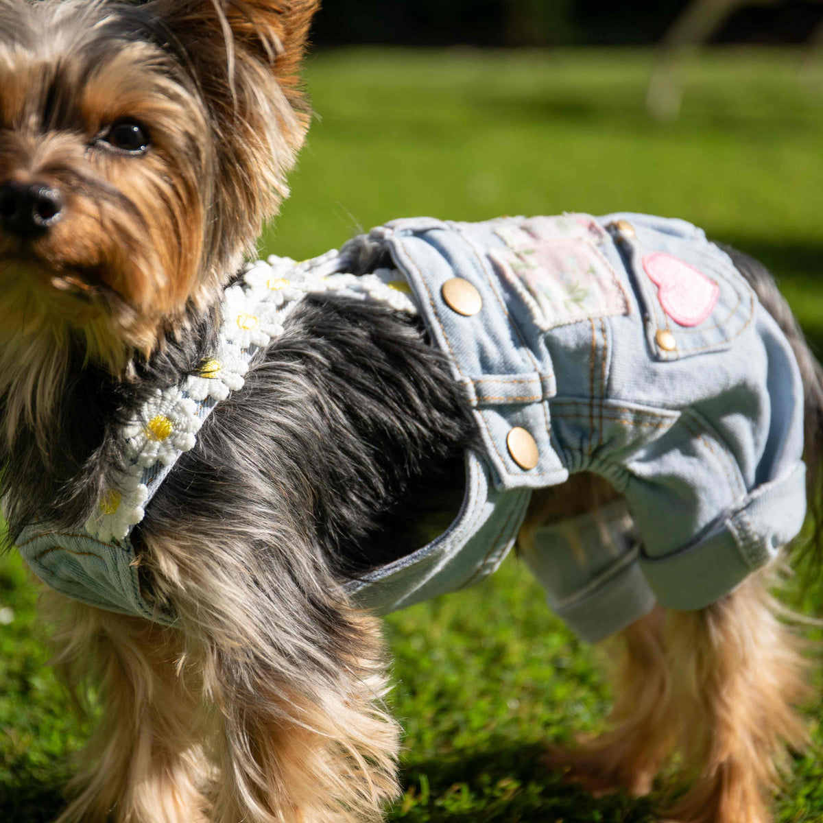 Heads or Tails Pup Floral Patchwork Dog Overalls