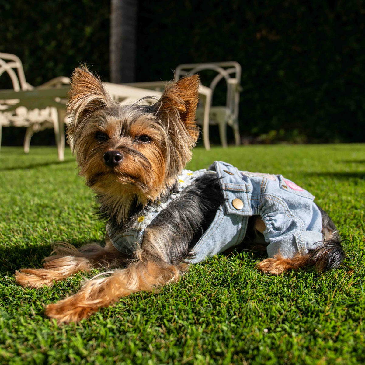 Heads or Tails Pup Floral Patchwork Dog Overalls