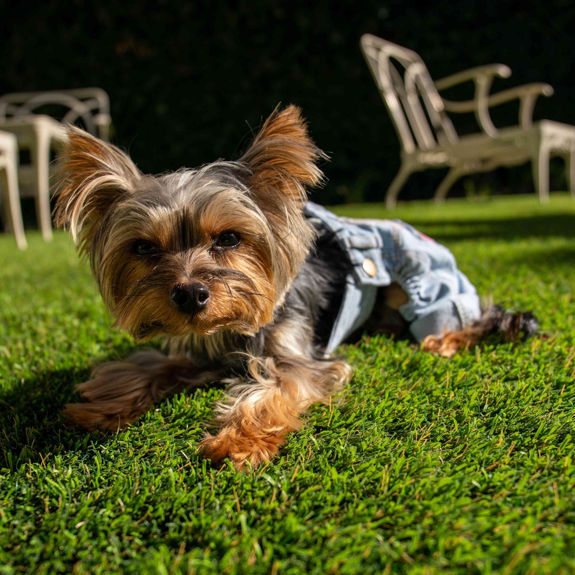 Heads or Tails Pup Floral Patchwork Dog Overalls