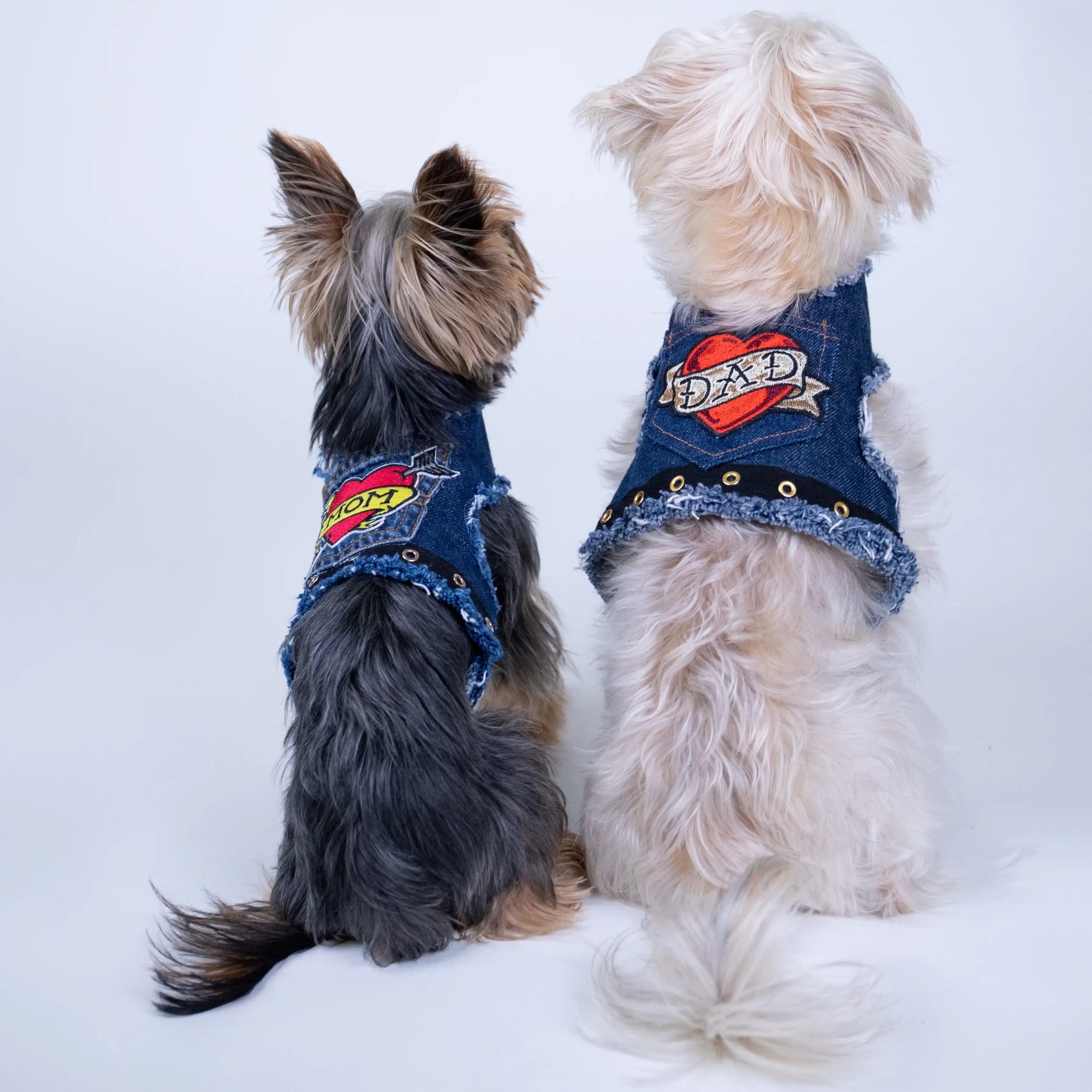 Heads or Tails Pup Love Mom Denim Dog Harness
