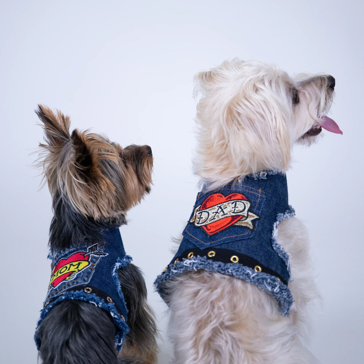 Heads or Tails Pup Love Dad Denim Dog Harness