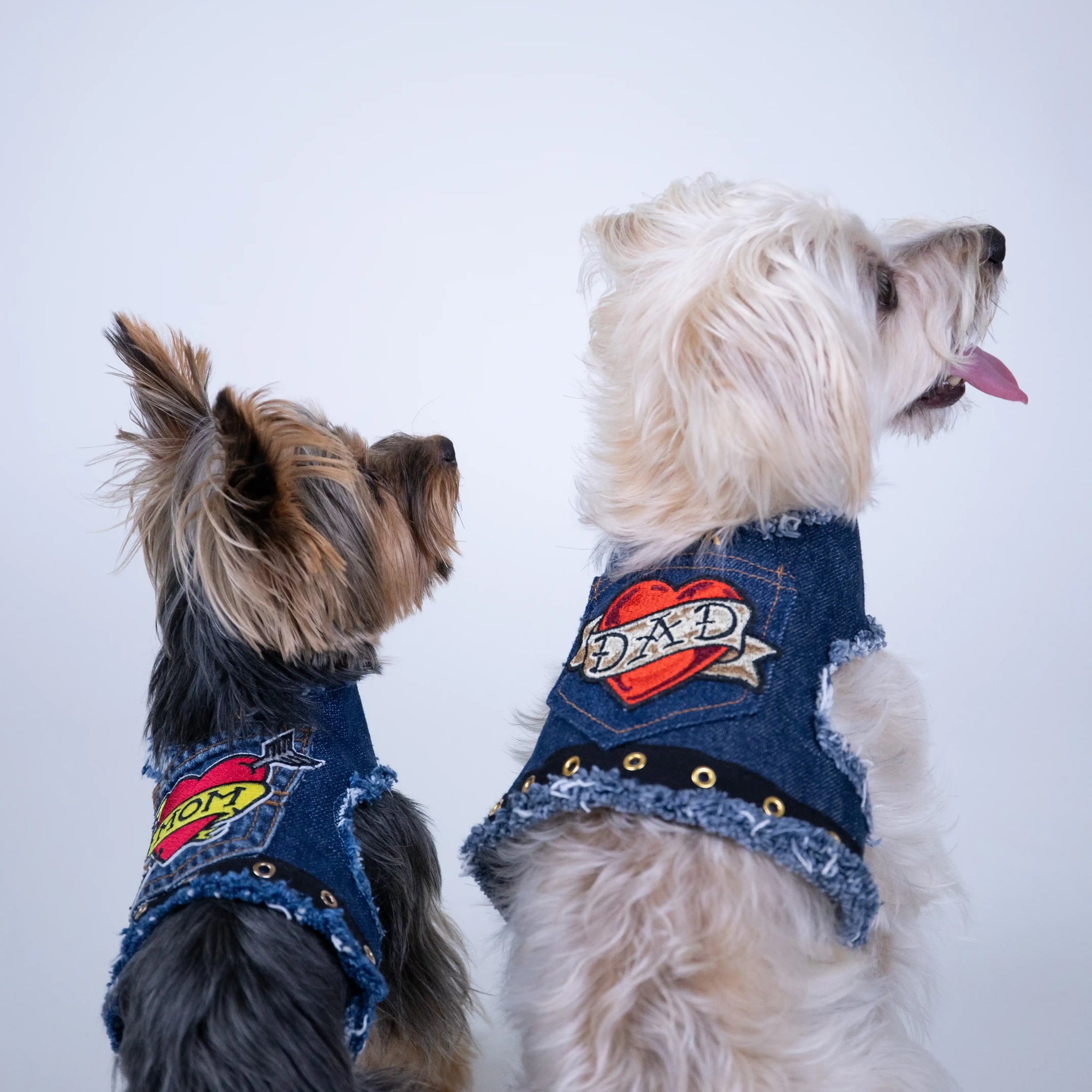 Heads or Tails Pup Love Mom Denim Dog Harness
