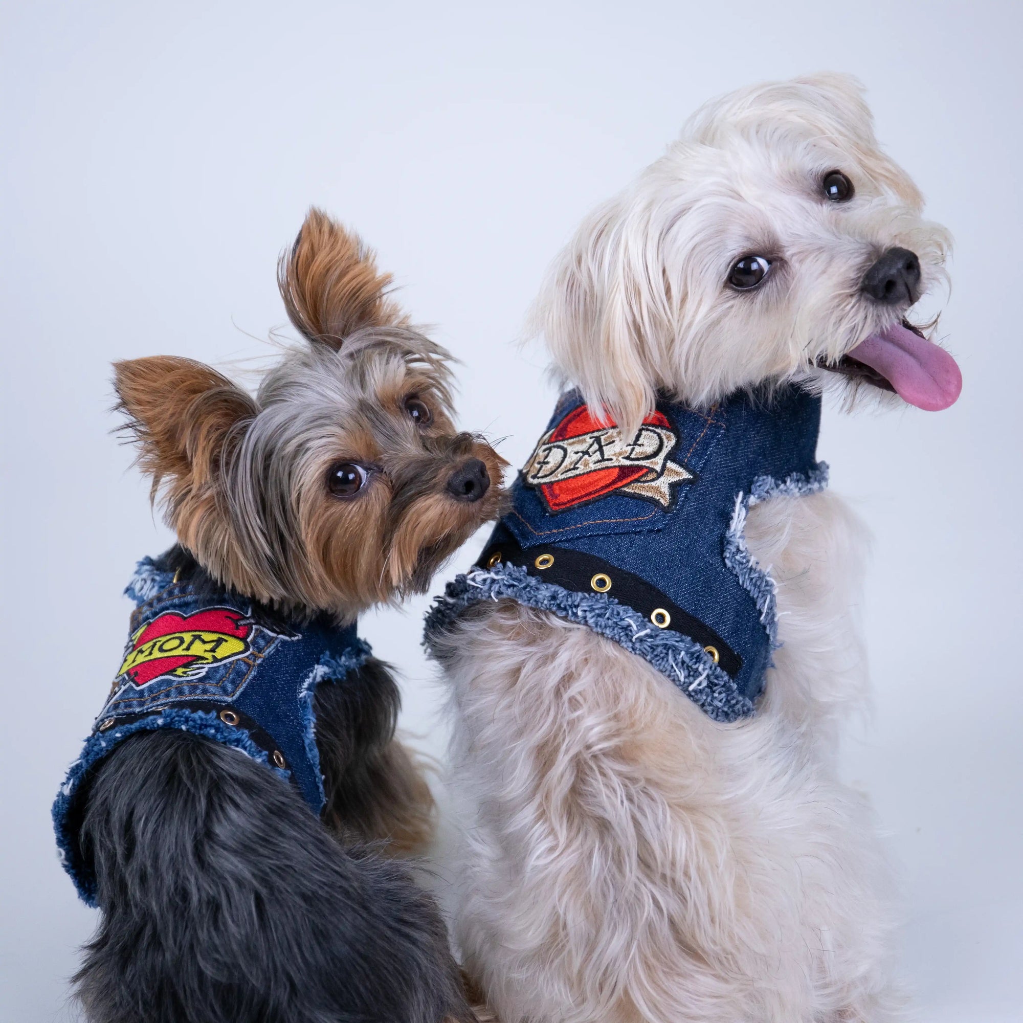 Heads or Tails Pup Love Mom Denim Dog Harness