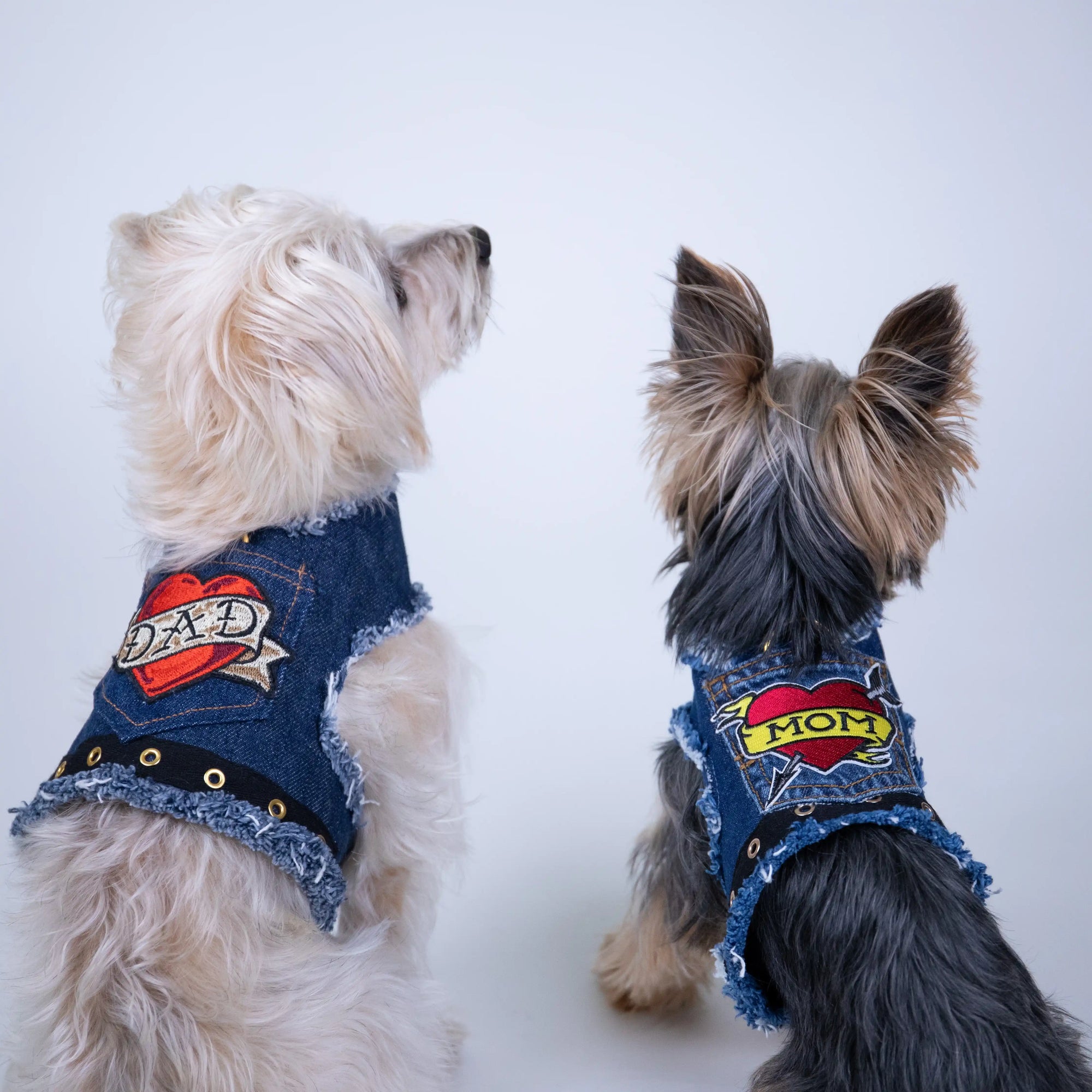 Heads or Tails Pup Love Mom Denim Dog Harness