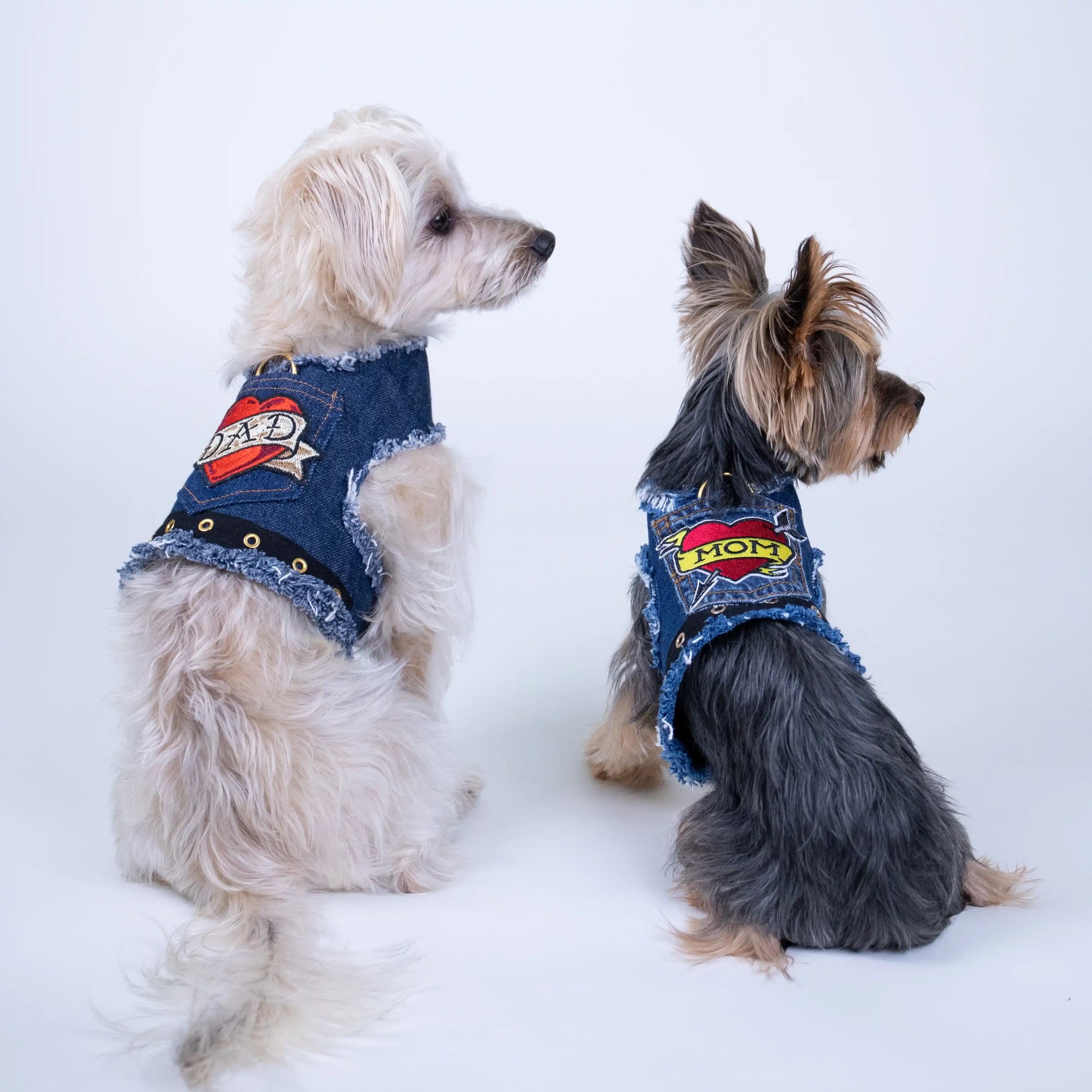 Heads or Tails Pup Love Mom Denim Dog Harness