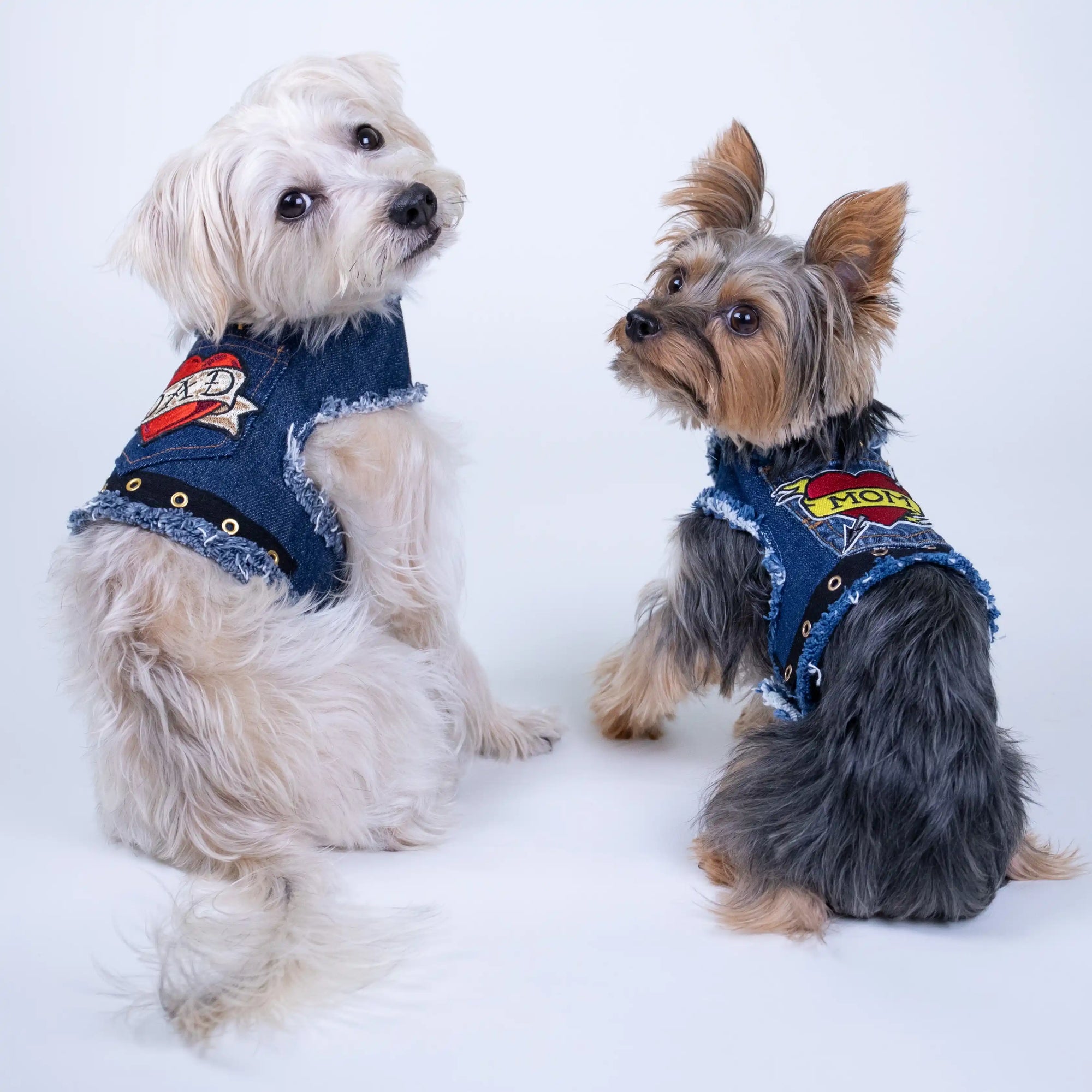 Heads or Tails Pup Love Mom Denim Dog Harness