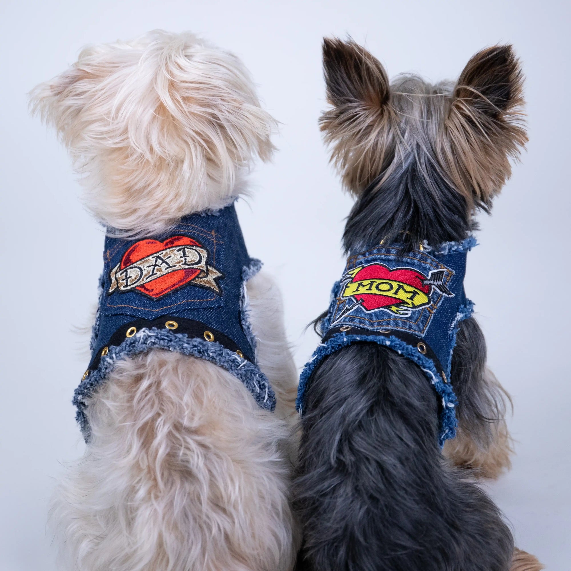 Heads or Tails Pup Love Mom Denim Dog Harness