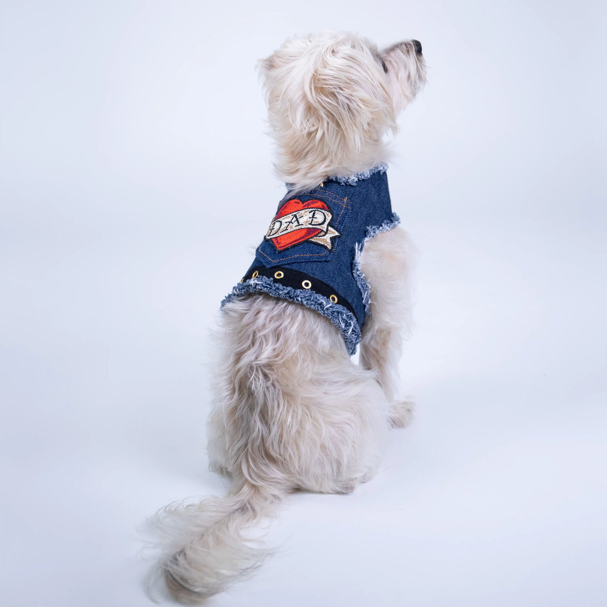 Heads or Tails Pup Love Dad Denim Dog Harness