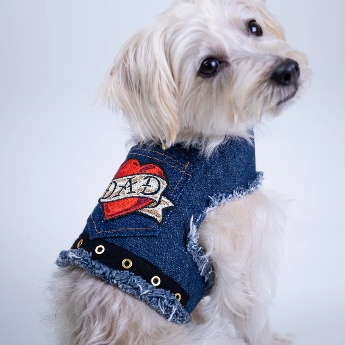 Heads or Tails Pup Love Dad Denim Dog Harness