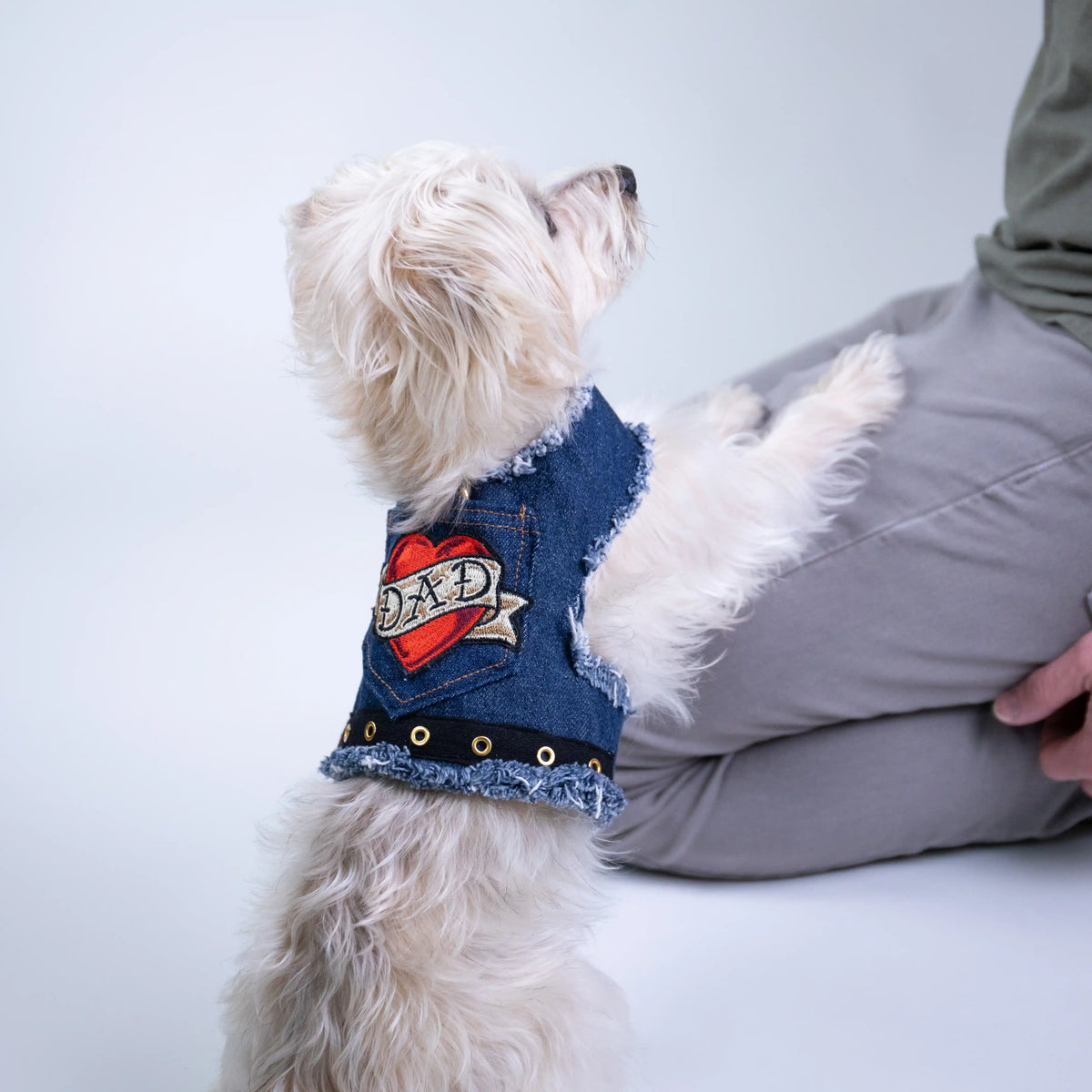 Heads or Tails Pup Love Dad Denim Dog Harness