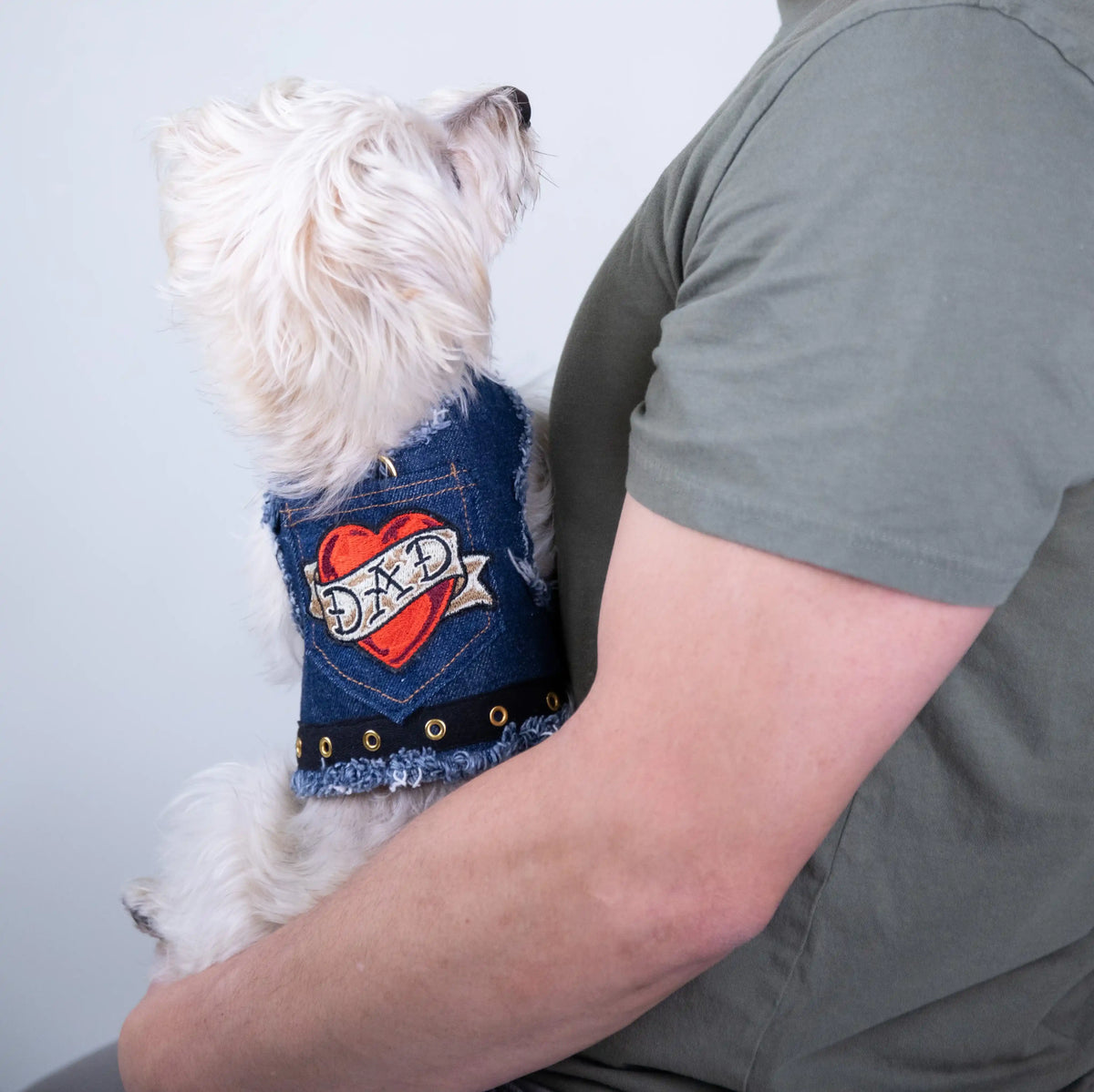 Heads or Tails Pup Love Dad Denim Dog Harness