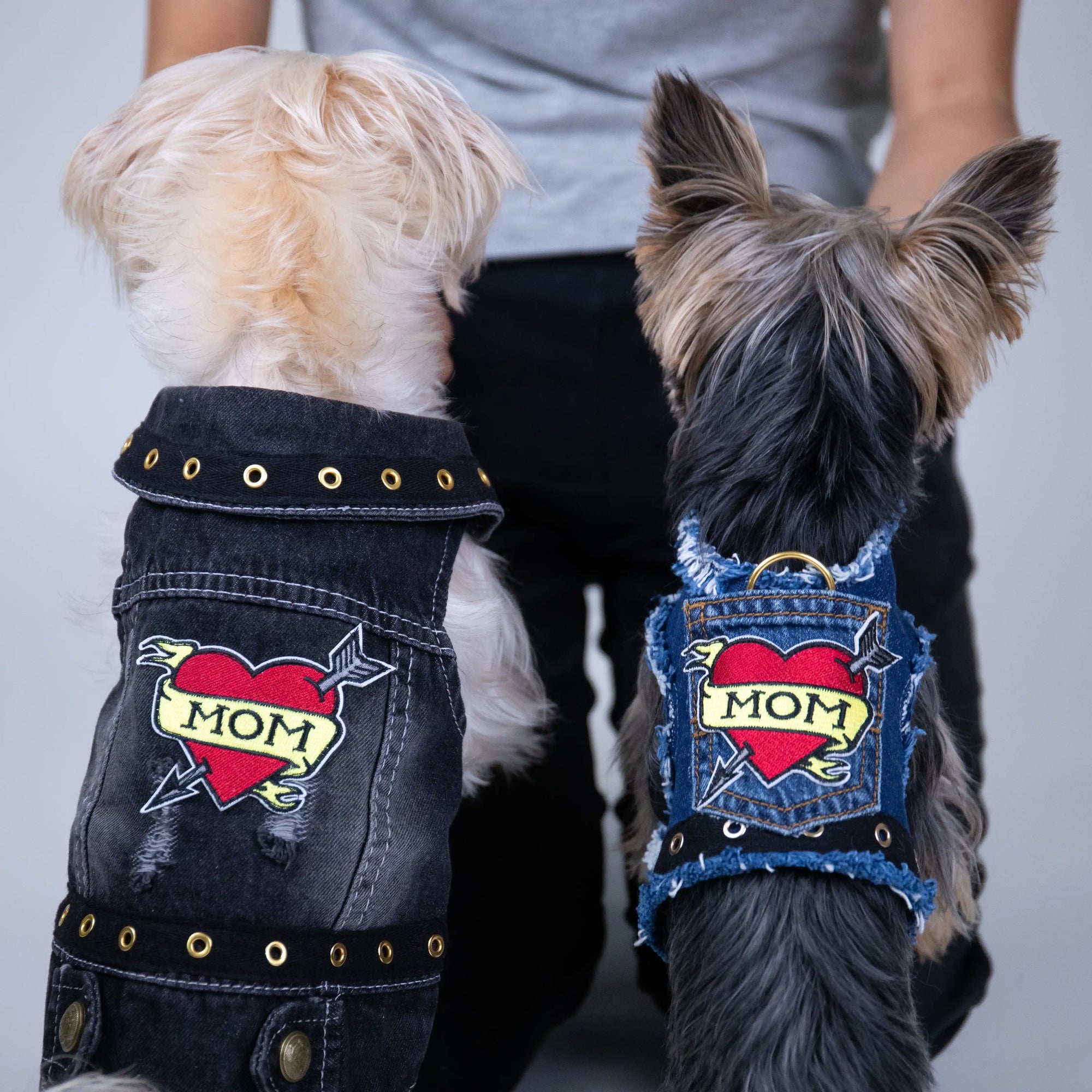 Heads or Tails Pup Love Mom Denim Dog Harness