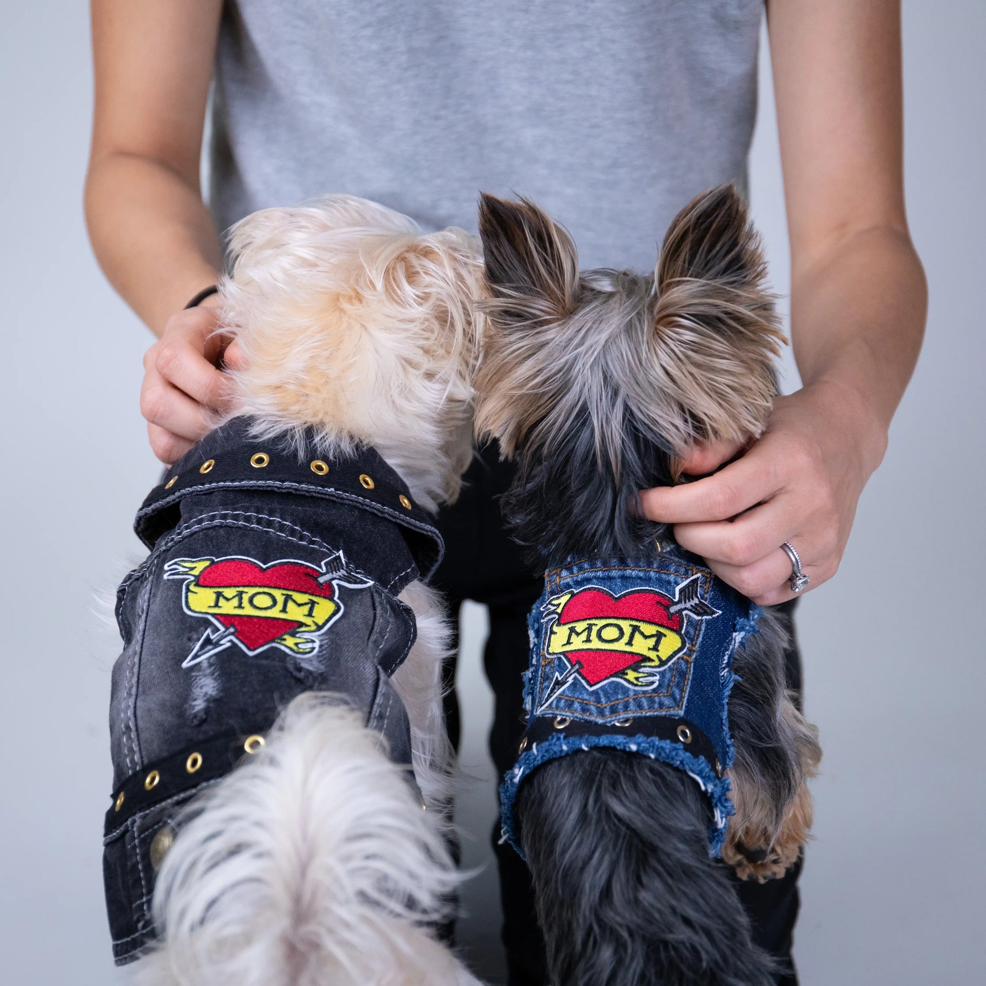 Heads or Tails Pup Love Mom Denim Dog Harness
