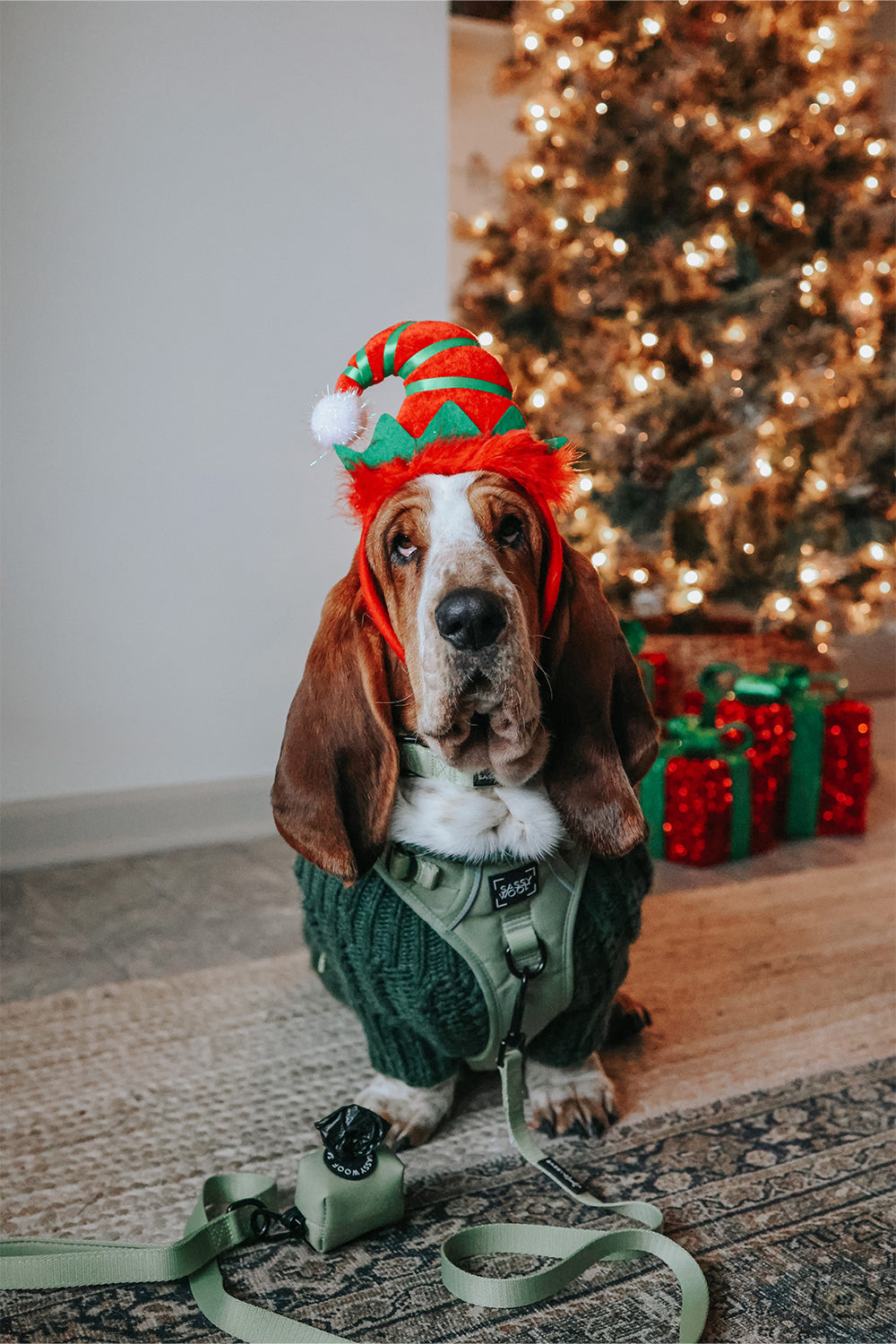 Dog Step-in Harness - Matcha