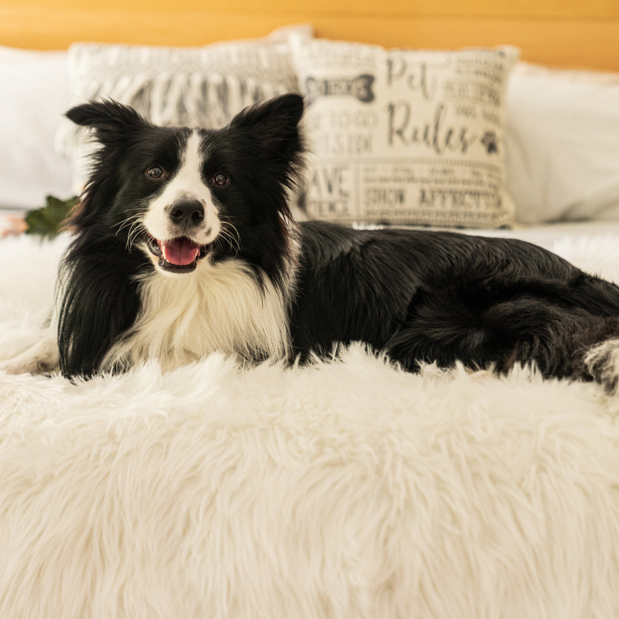 PupProtector Waterproof Throw Blanket Polar White