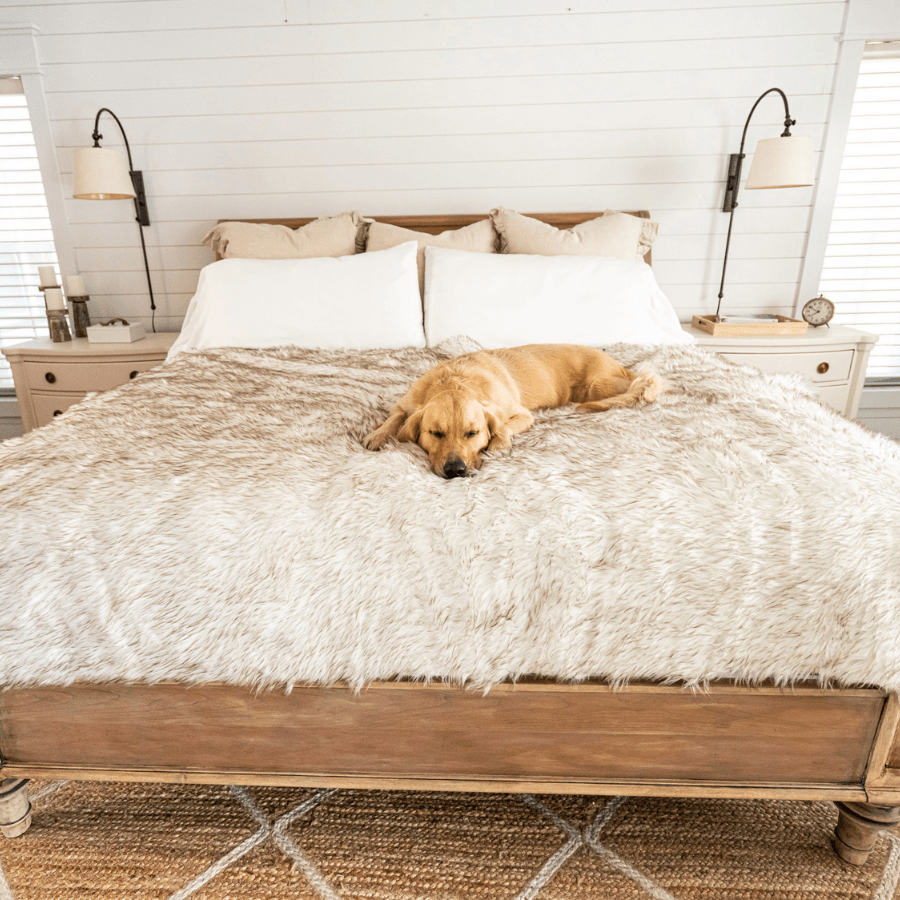 PupProtector Waterproof Throw Blanket White with Brown Accents 