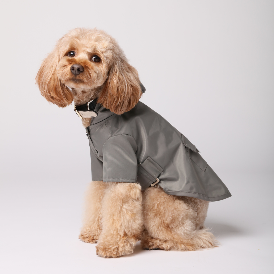 Bowery Raincoat-Gray