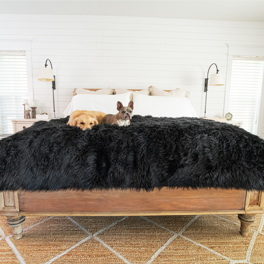 PupProtector™ Waterproof Throw Blanket - Midnight Black | HT Animal Supply