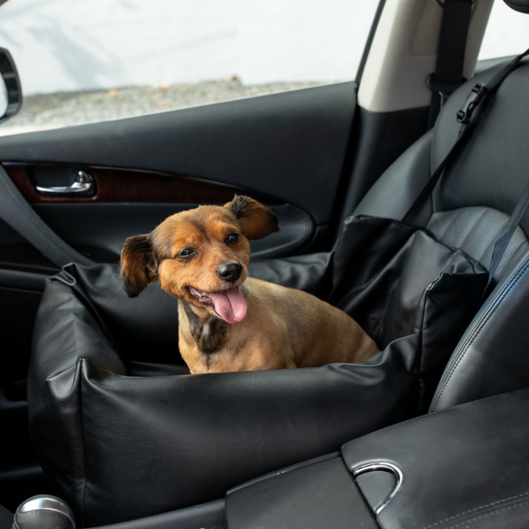 Pupprotector Faux Leather Memory Foam Dog Car Bed Black