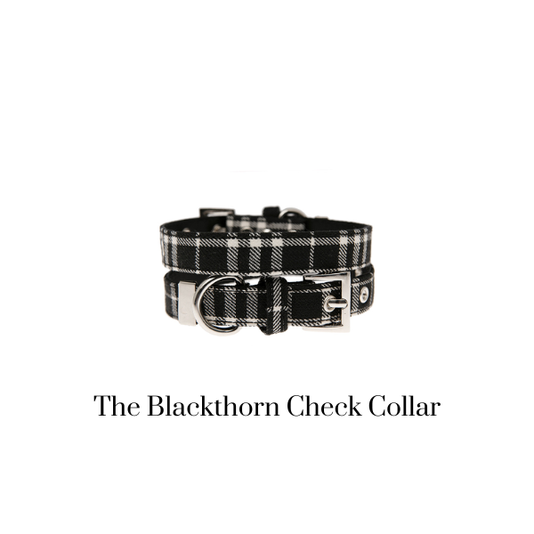 The Blackthorn Check Dog Collar
