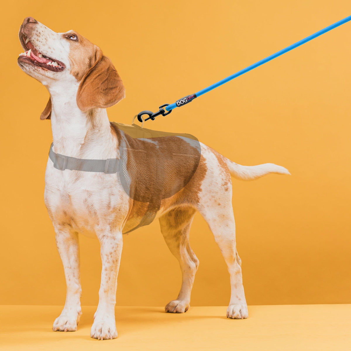 Dogline Nylon Round Dog Lead