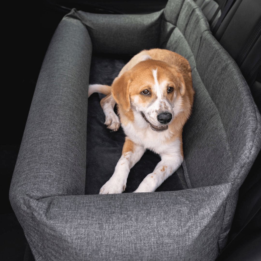 PupProtector Memory Foam Dog Car Bed