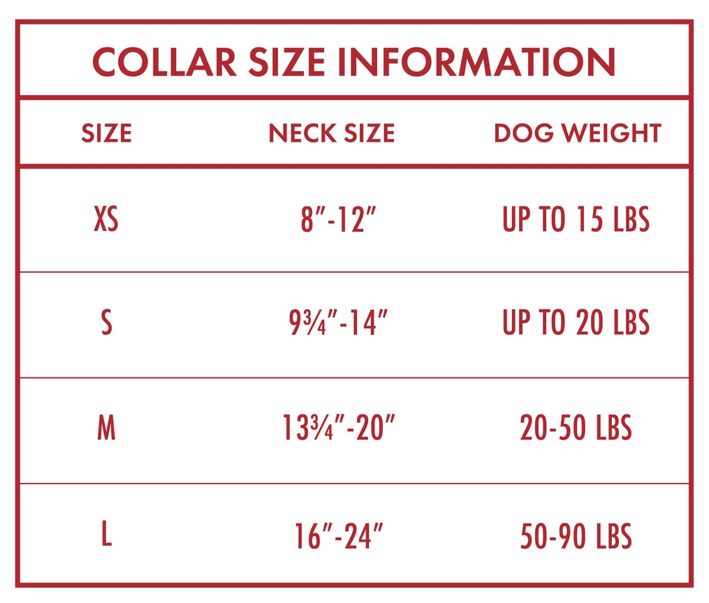 Wrangler® Pink Denim Harness, Collar & Lead Set