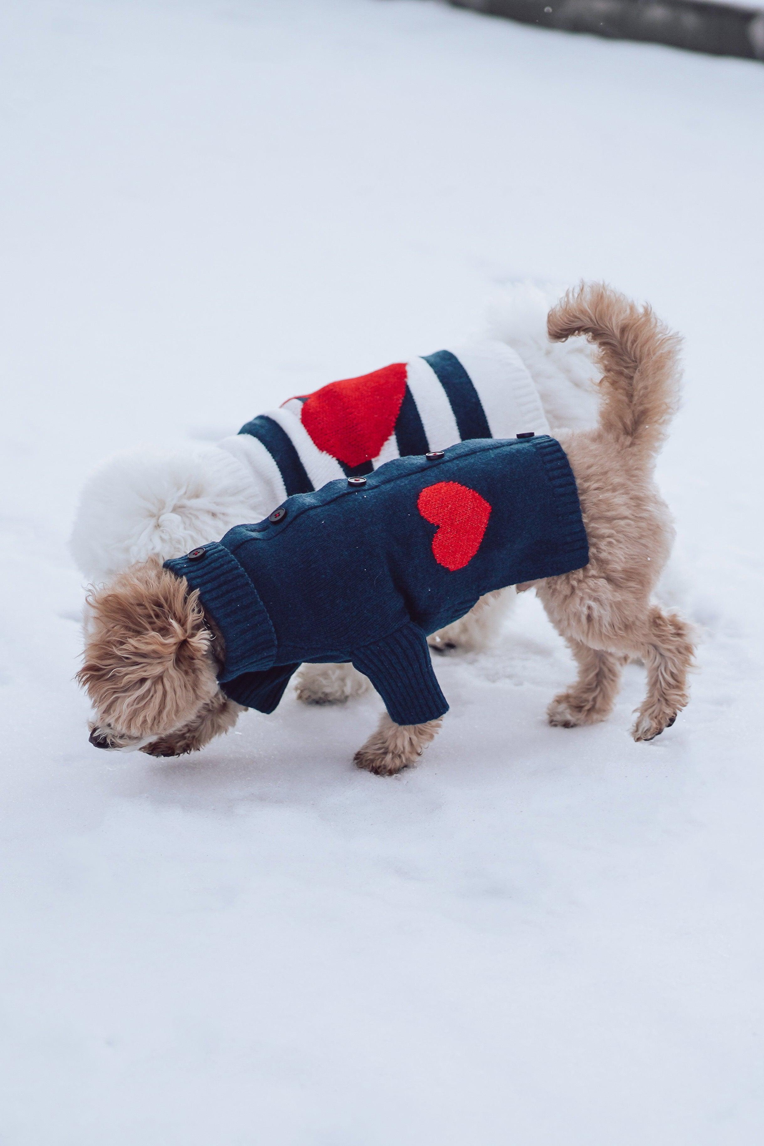 Sailor of My Heart Striped Turtleneck Sweater - HT Animal Supply