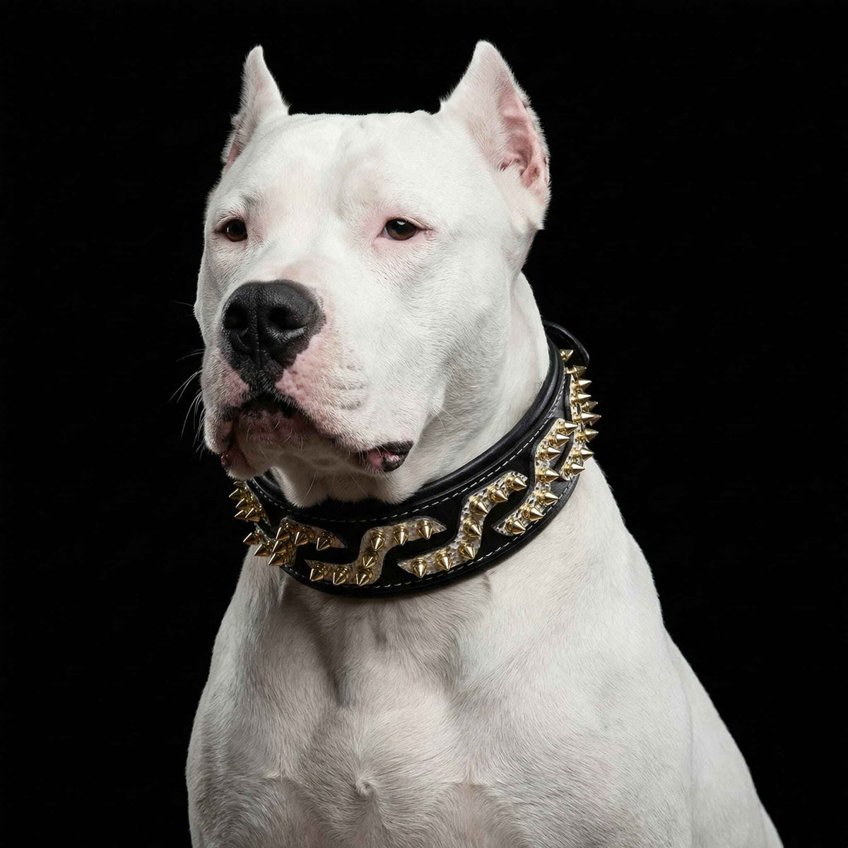 Bestia Platinum Leather Dog Collar