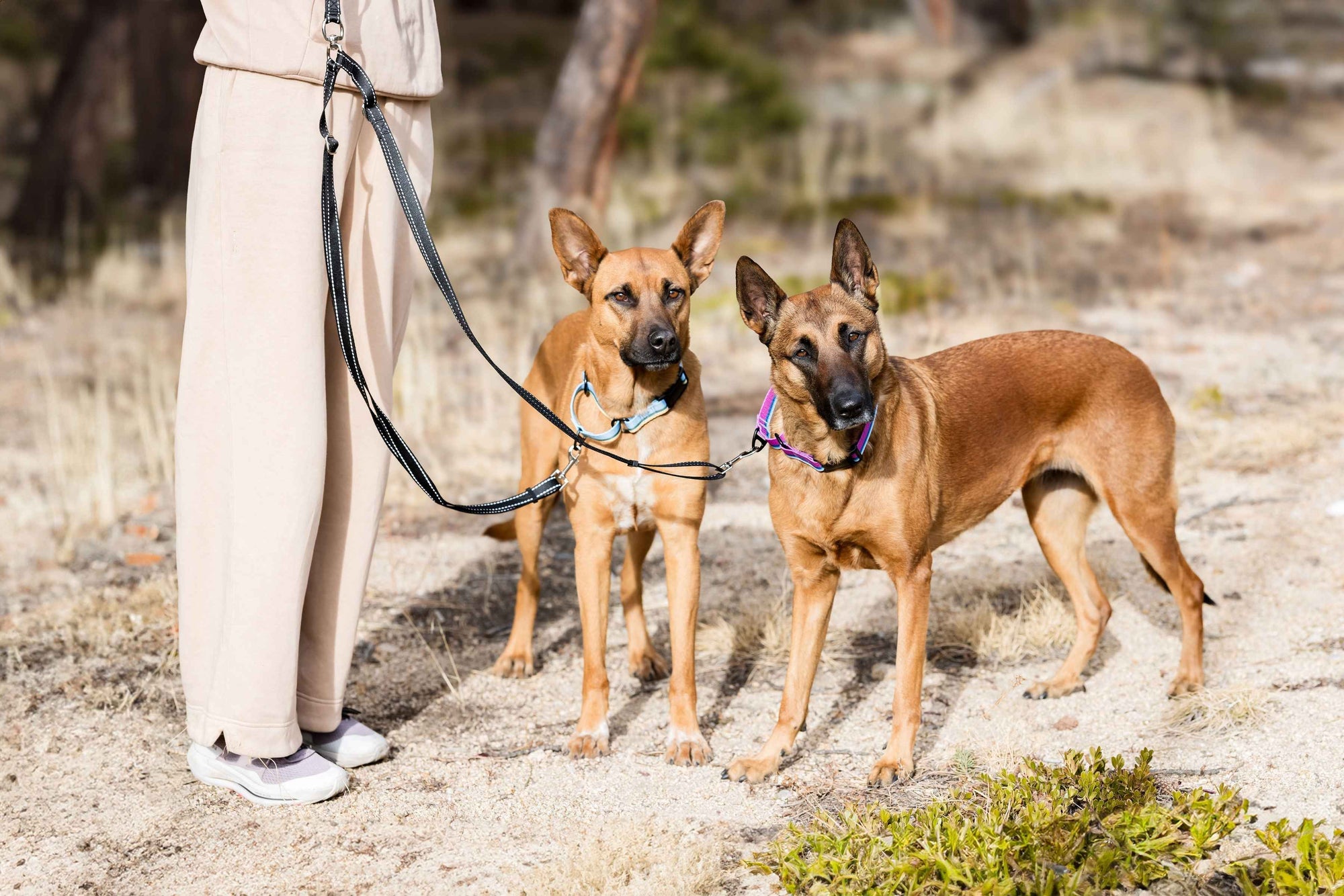 Euro-Dog Outdoor Reflective Double Dog Leash