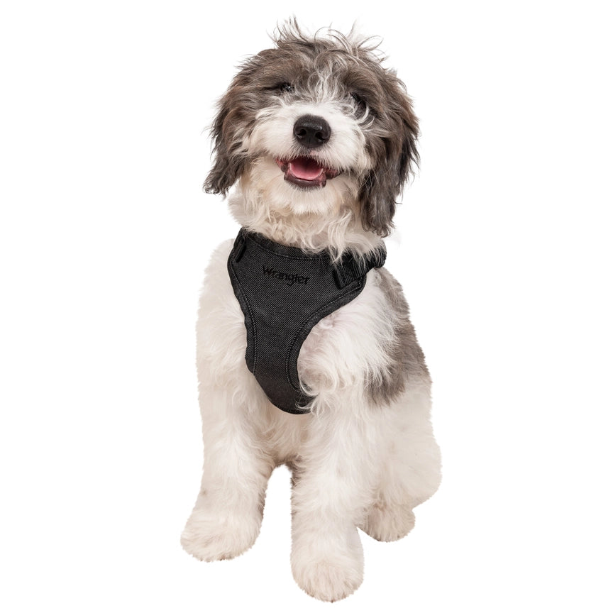 Wrangler® Black Denim Harness, Collar & Lead Set