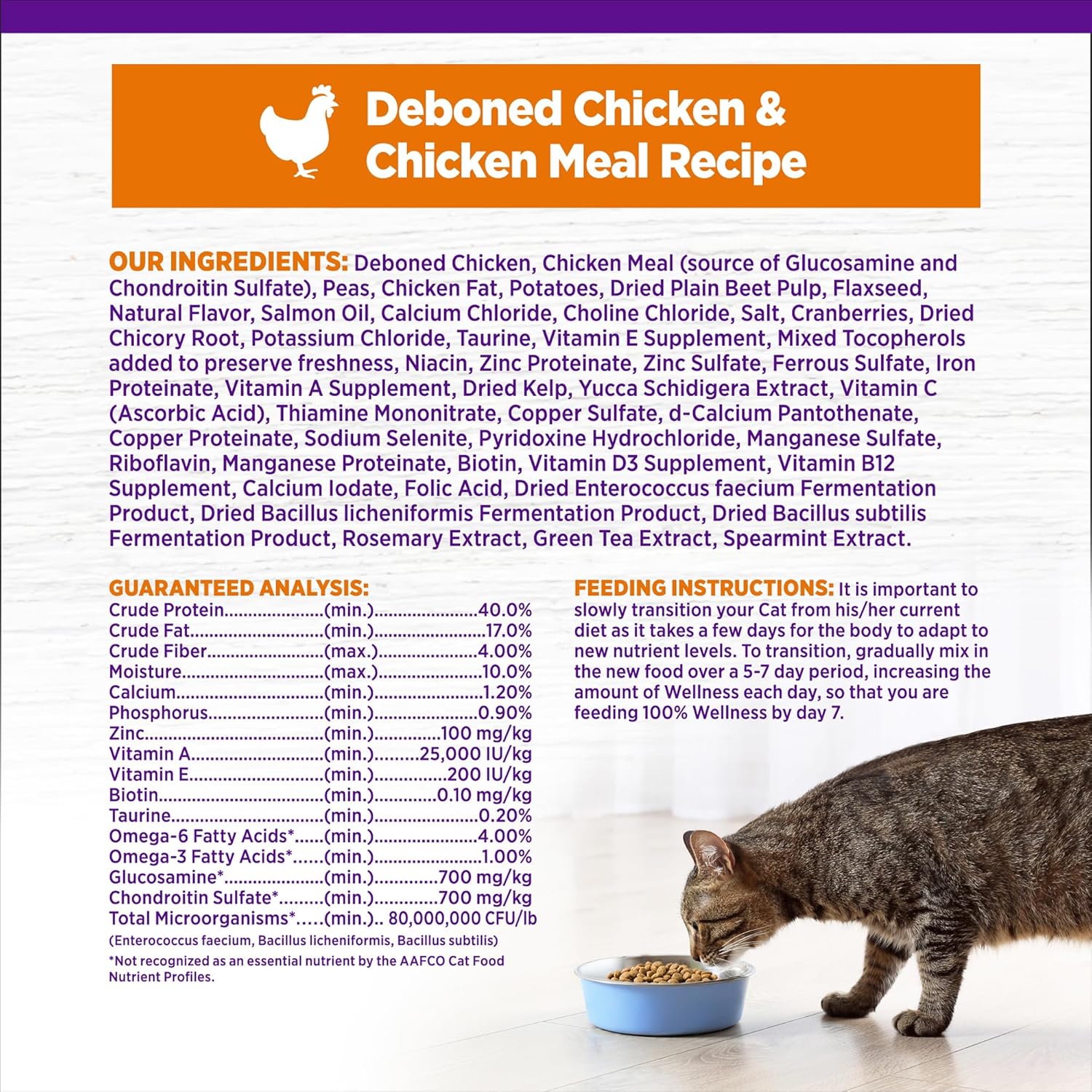 Wellness Complete Health Adult Grain Free Deboned Chicken & Chicken Meal Dry Cat Food (5lb)