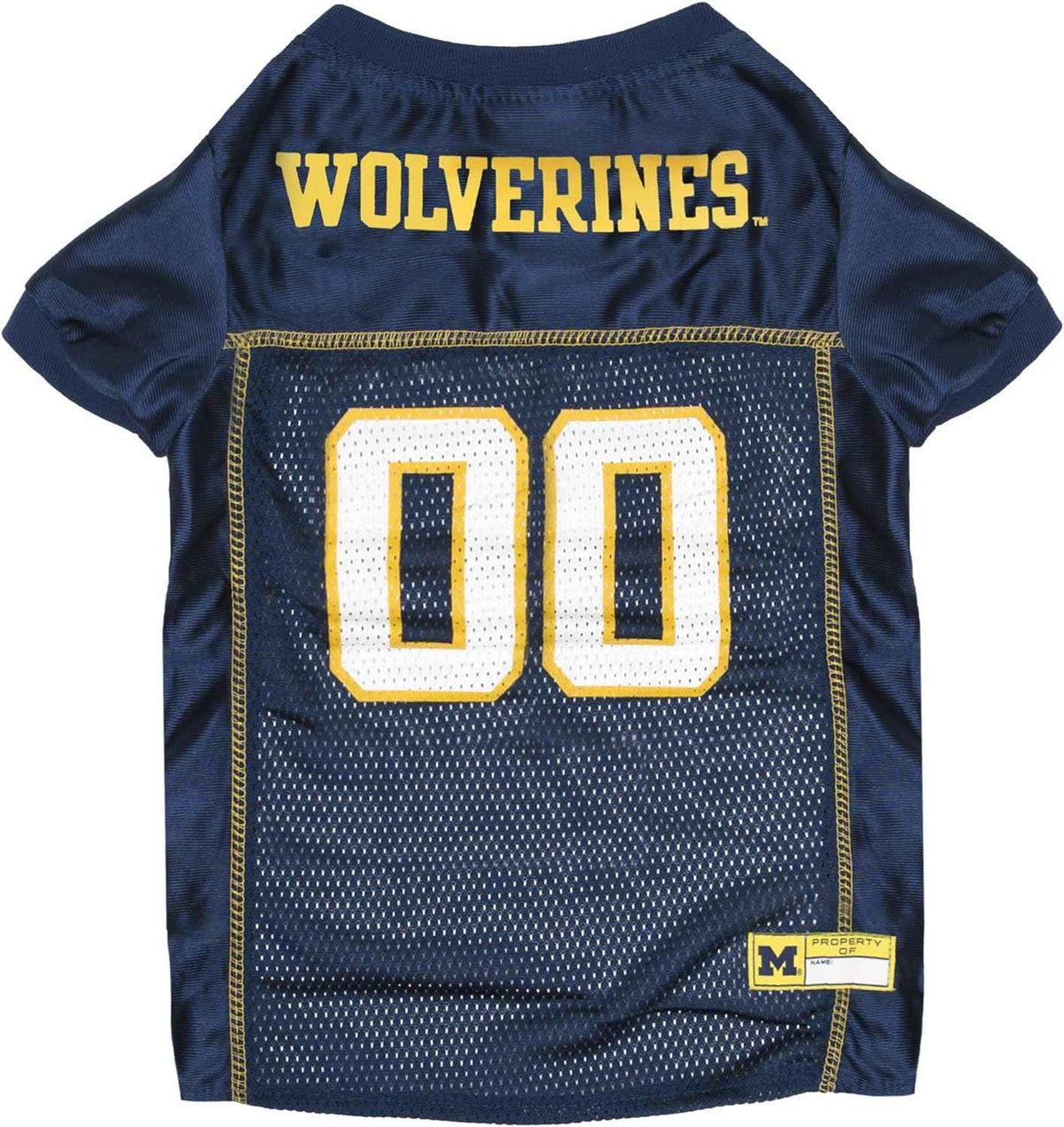 NCAA Michigan Mesh Pet Jersey