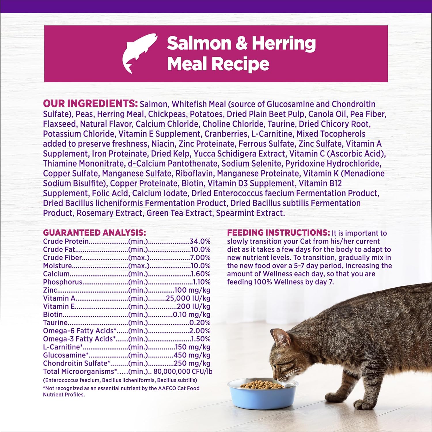 Wellness Complete Health Adult Grain Free Indoor Salmon and Herring Cat Food (5.5lb)