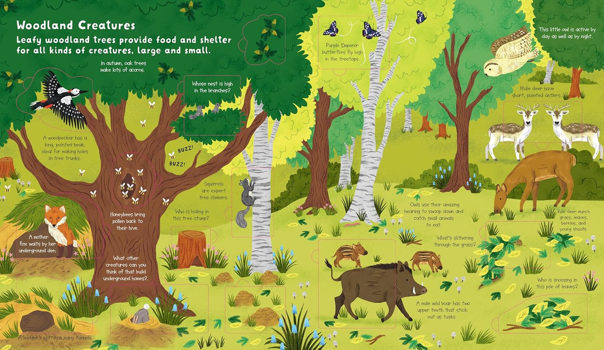 Inside Lift the Flap: Discovery! Animals – Hardback, ISBN 9798890942081