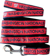Washington Nationals Leash