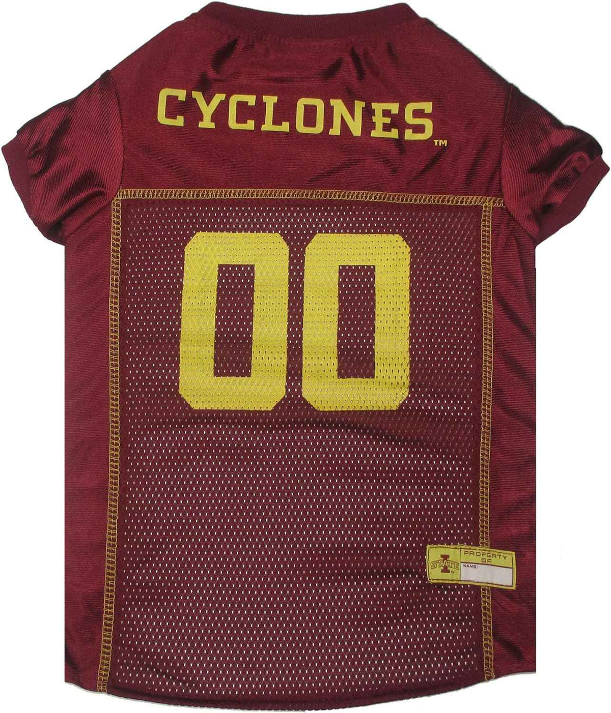 NCAA Iowa State Mesh Pet Jersey