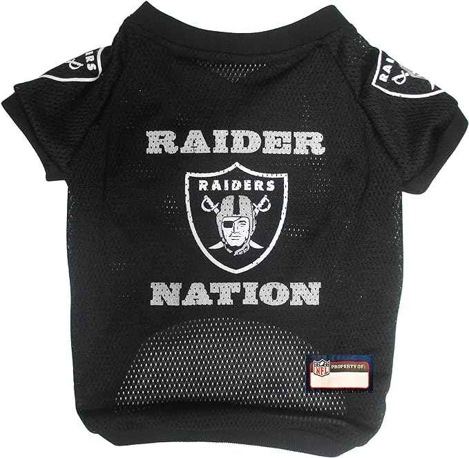NFL Las Vegas Raiders Raglan Pet Jersey