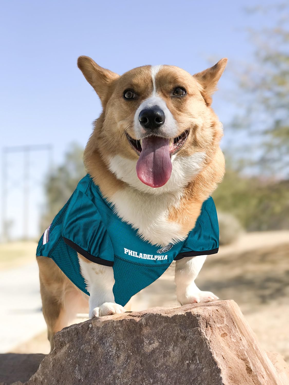 Philadelphia Eagles NFL Pet Jersey