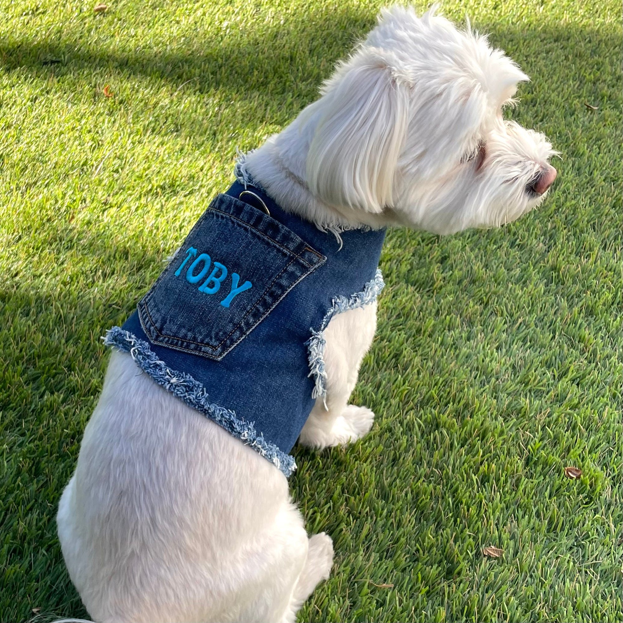 Heads or Tails Pup Personalized Denim Dog Harness