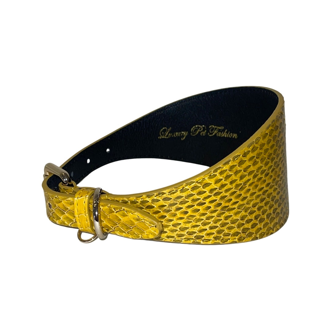 Allysa Payne Mustard Yellow & Black Snake 3-Inch Wide Style Dog Collar