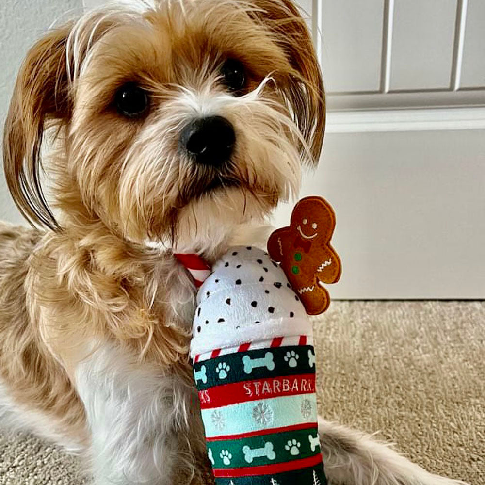 Haute Diggity Dog Ginger Bark Latte & Howliday Cheer Mug Christmas Plush Dog Toy