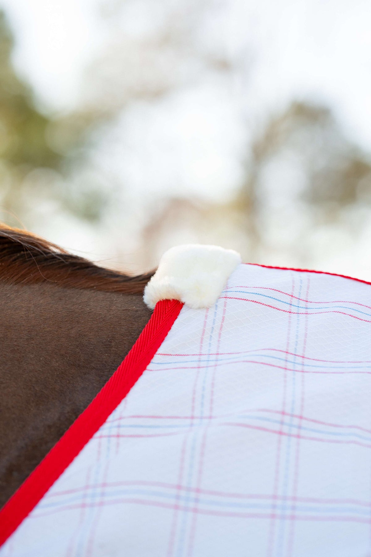 Millers Aussie Ripstop Stable Sheet